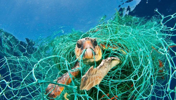 Cambiamenti climatici, tutela delle acque, impegno sociale: a Milano la prima edizione del National Geographic Fest 