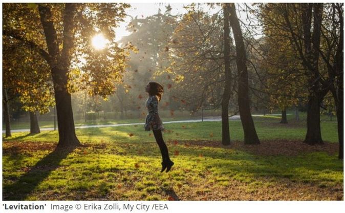 L'Ue premia fotografa milanese: il suo parco Sempione d'autunno conquista l'Europa