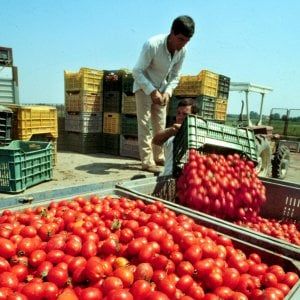 Non regolarizzare i migranti nei campi è un favore alla mafia