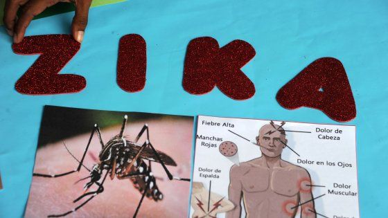 Verona, la prima italiana incinta con la Zika: “Mio figlio mai nato per colpa del virus”