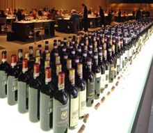 Vino, passione in mostra