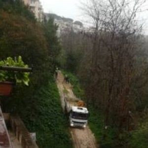 Roma,  comitati mobilitati per salvare  il sentiero ciclopedonale nel parco dell’Aniene