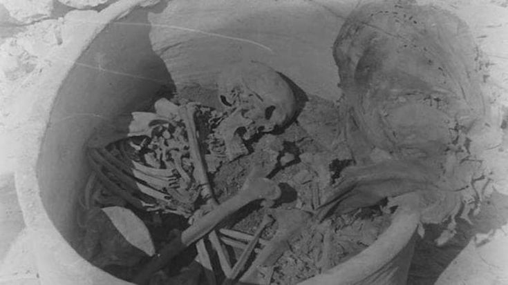 Letto l’intero Dna di una mummia, così è stata ricostruita la vita di un uomo di 4500 anni fa