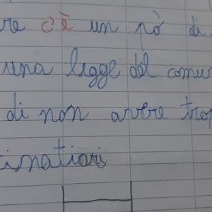 Sala Consilina, la grammatica ai tempi del coronavirus, il tema di Mattia 