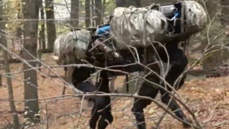 Forze Armate, dopo quasi 20 anni tornano i muli: in versione robot o in carne e ossa