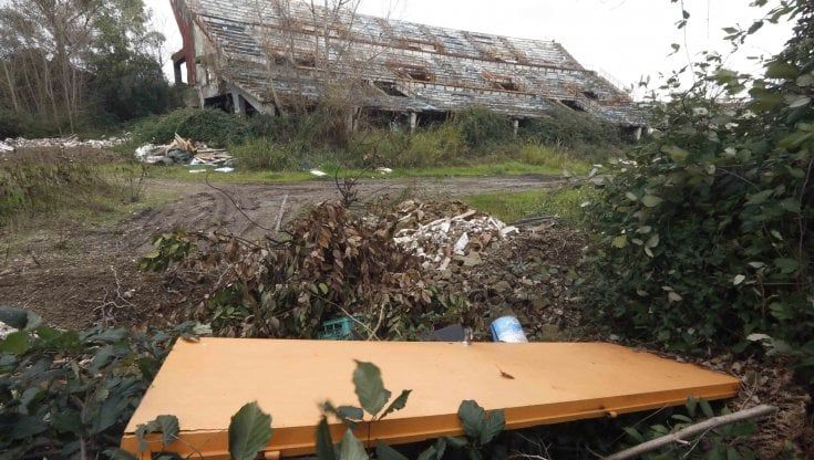 Napoli, c’era una volta il Palargento: monumento al degrado tra crolli, rovi e rifiuti