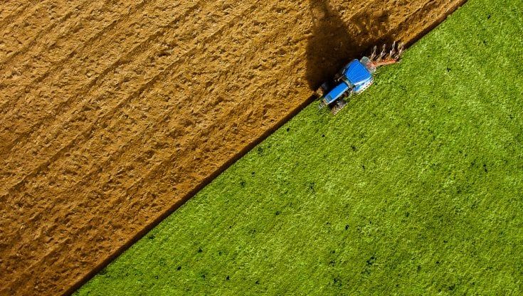 Agricoltura green: il 46% delle aziende pronte a spendere più di 10mila euro in sostenibilità