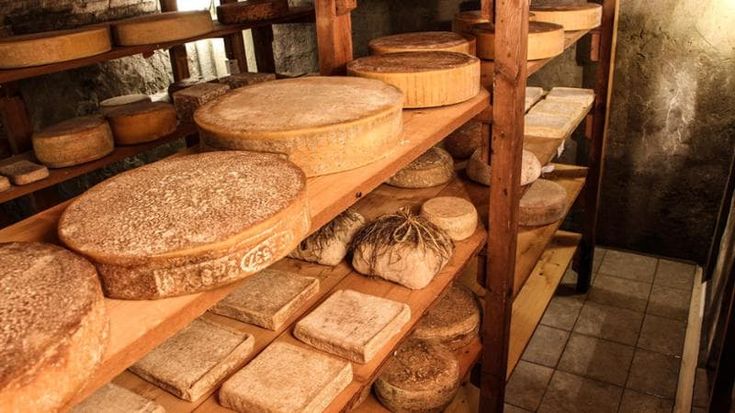 Formaggi a latte crudo: i sei prodotti da assaggiare secondo Slow Food
