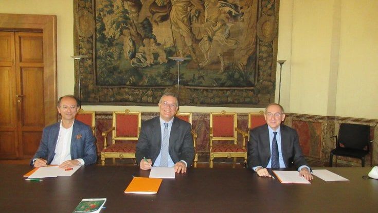 Sostenibilità e innovazione in agricoltura: al via uno studio Edison e centro di ricerche Cesab