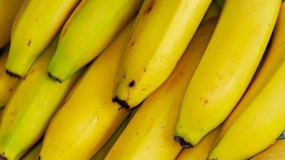 Un mondo senza banane: il frutto rischia l'estinzione 