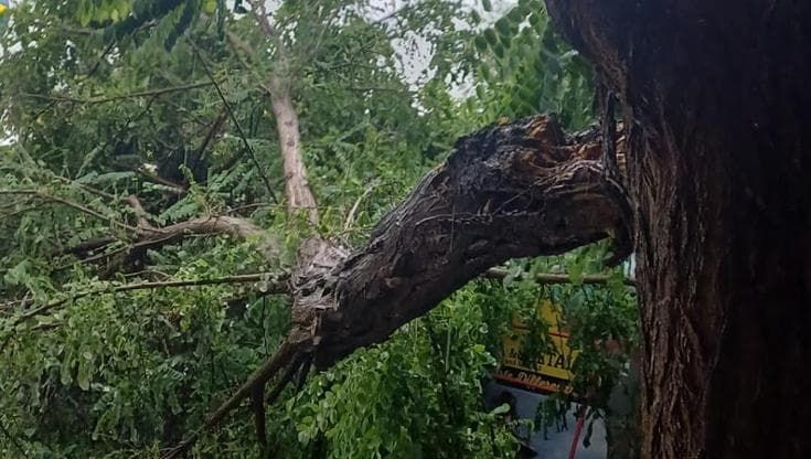 Nubifragio, a Napoli cadono alberi. Allagamenti a Ischia e Bacoli. Frana, interrotta Circumflegrea