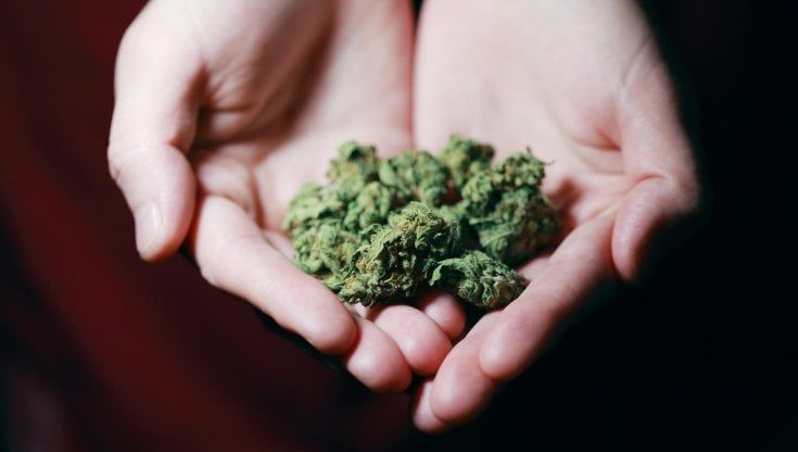 Coronavirus, arriva la cannabis light legale "di cittadinanza". JustMary: "Gratis. Vogliamo regalare una serata serena a chi è in difficoltà"