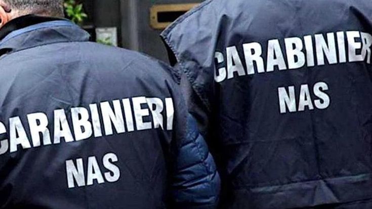 Locali e depositi invasi dagli scarafaggi, i Nas chiudono un supermercato