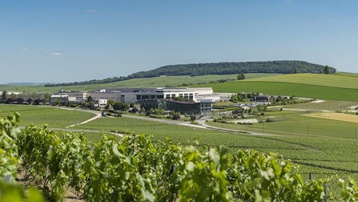 Champagne, Nicolas Feuillatte si fonde con Crvc 