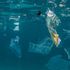 Prigionieri di un mare di plastica. E il riciclo non basta