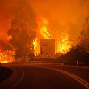 Incendi Portogallo, bambini vogliono far causa a 47 paesi: "Fermate il climate change"