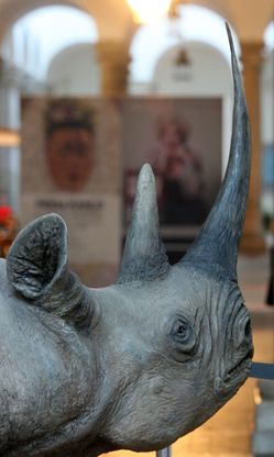 L'arte difende i rinoceronti