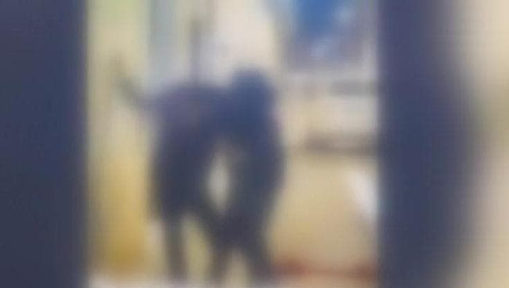 Trani, sedicenne prende a calci e pugni un uomo disabile mentre la fidanzata lo filma