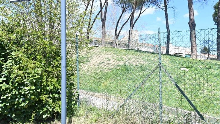 Scappano da scuola a sette anni, fanno 10 chilometri in bus e arrivano a Firenze: "Volevamo andare a Roma"