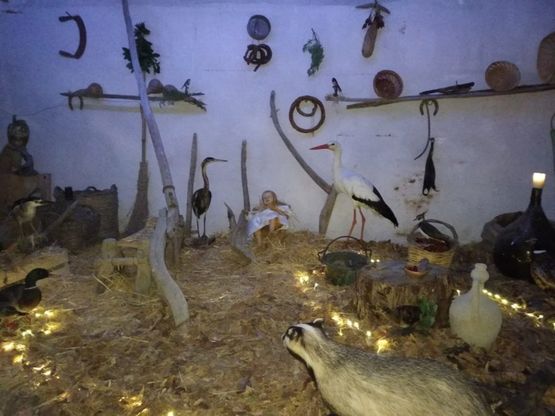 Natale, cicogne e gufi assistono Gesù bambino: a Lecce il presepe degli animali selvatici