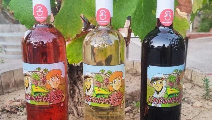 Zerocalcare firma l'etichetta del vino solidale: in Salento il fumettista con Manuel Agnelli per i diritti dei migranti