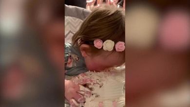 La bimba compie un anno e le danno una torta: non riesce a smettere di mangiarla 