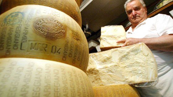 Parmigiano-Reggiano, stop al latte proveniente dall'estero