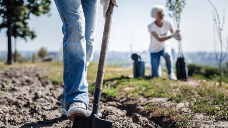 Imprese Benefit, i gruppi crescono: “Profitti al sociale e all’ambiente"