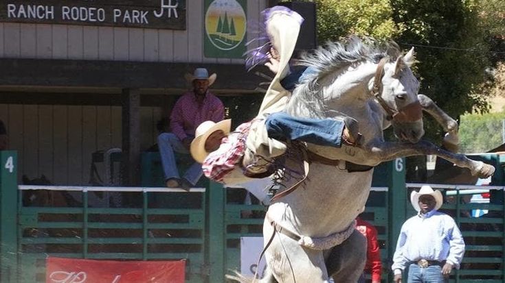 La show dei cowboy neri nell’America bianca