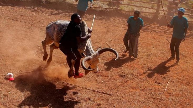 La corsa al toro