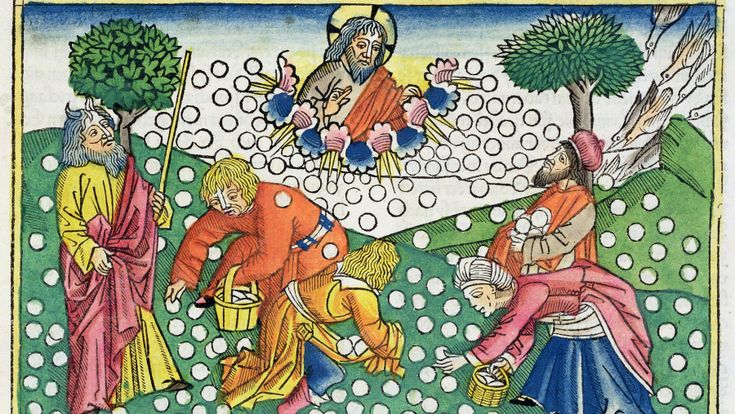 Santità liquida che tutto cura