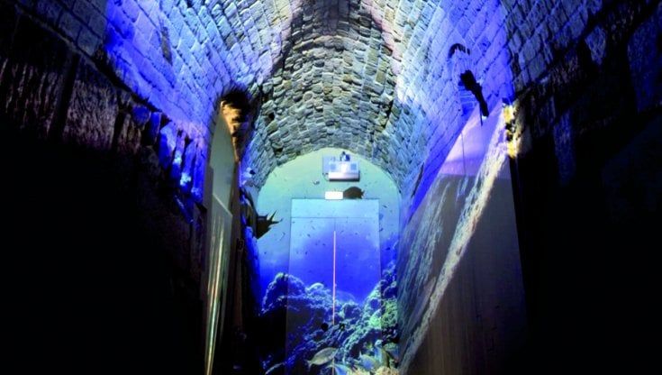 Il Mediterraneo in tutti i suoi aspetti