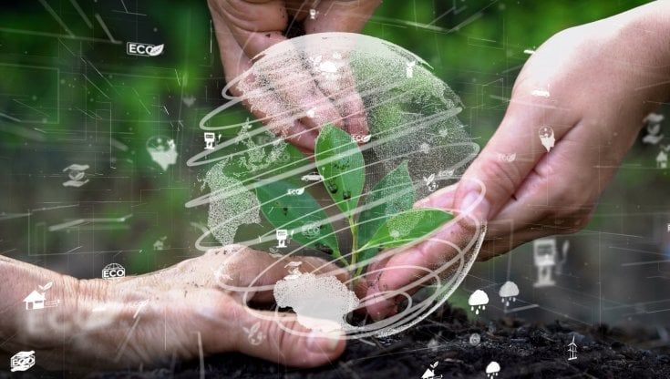 Sostenibilità, cresce il denaro investito nei fondi dedicati. Ma è impossibile stabilire quale azienda sia in regola con i parametri Ue