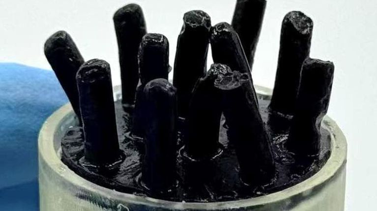 Energia dai rifiuti: l'intestino umano ispira la batteria del futuro
