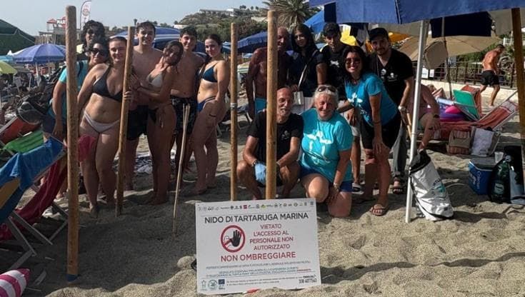 Ischia, ragazzi in vacanza di notte al mare scoprono e proteggono nido di tartaruga