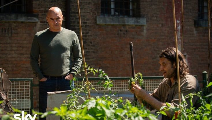 'Il re', la serie con Luca Zingaretti: "Il mio direttore del carcere, oltre le regole e la giustizia"