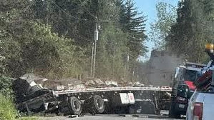 Maxi-sciame di api terrorizza gli Usa: si ribalta camion che trasportava 250 milioni di insetti