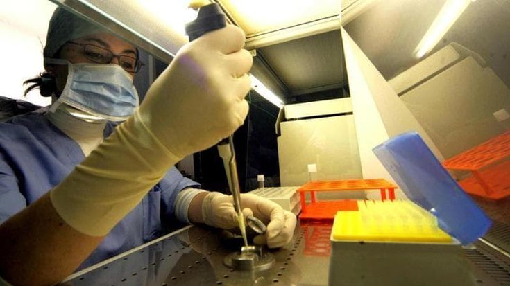 In Puglia oltre 400 patologie daranno accesso a terapie gratis: ci sono anche la celiachia e l’endometriosi
