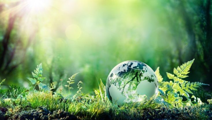 Deloitte: il 53% delle aziende quotate produce informativa sul clima