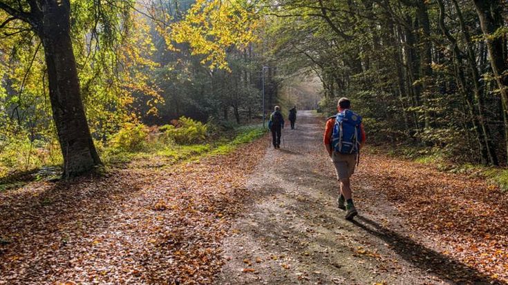 Camminando sotto un ciclone di nome Zalone