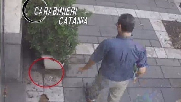 Esche mortali per cani nel centro di Catania, denunciato un 61enne