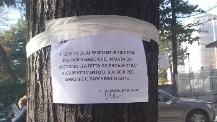 “Alberi abbattuti per un parcheggio”: ma l’avviso in via dell’Arcoveggio è falso