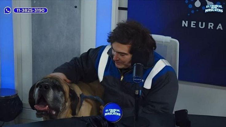 Tutti i cuccioli del Presidente Milei