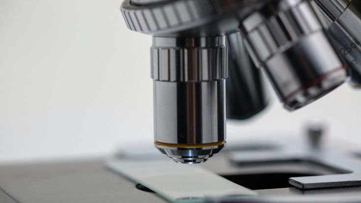 "Così la scienza batterà le fake news"