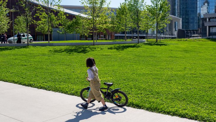 Milano: riparte la Biblioteca degli alberi: “Ora riscopriamo la natura”