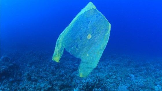 Giornata mondiale degli oceani, i nostri mari soffocati dalla plastica