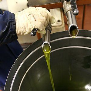 Olio, si muove l'Antitrust. Un accordo di filiera per il prodotto di qualità