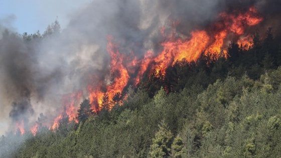 L'Aquila, incendi devastano centinaia di ettari di bosco: si segue la pista dolosa
