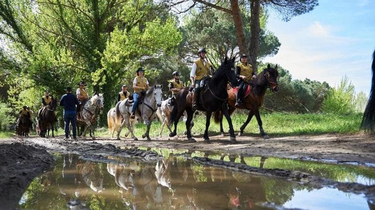 Tre milioni di appassionati, 7 mila percorsi: nasce il primo osservatorio del turismo a cavallo