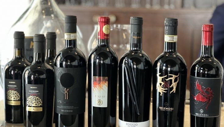 Velenosi Vini, presentate le nuove annate in abbinamento ai piatti di Scaramandella del ristorante Pipero